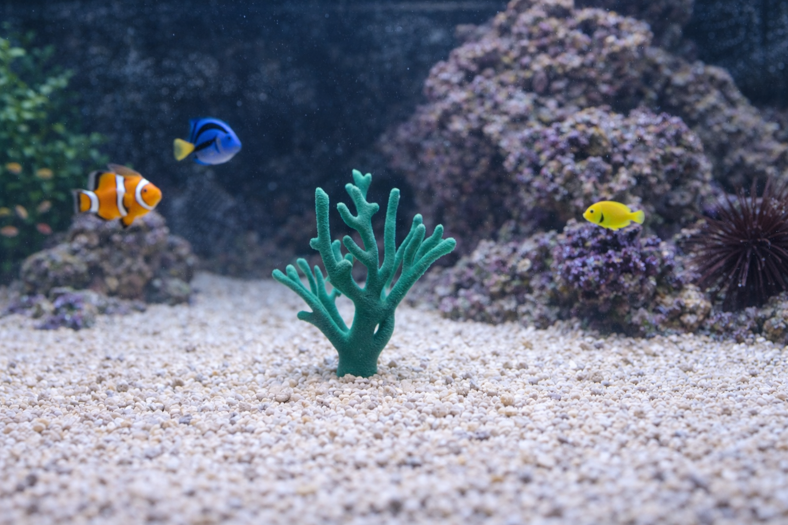 Aquarium Decoration - Custom underwater themed piece